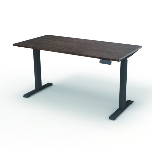 Dual-Motor Solid Wood Electric Standing Desk